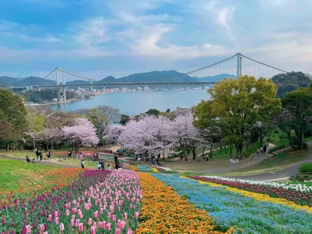 旅行会社で探す！季節ごとの国内旅行おすすめプラン