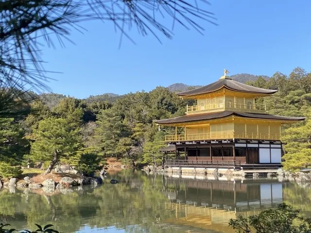 旅行会社がおすすめする京都府の魅力的な旅を体験しよう