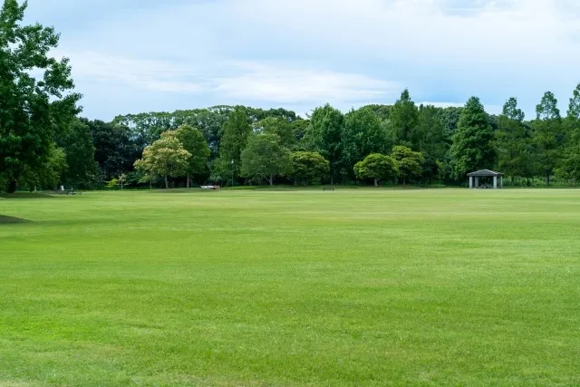 学生合宿におすすめの宿泊施設を選ぶための完全ガイド