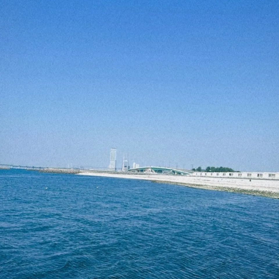 こんにちはWatokunです☺️