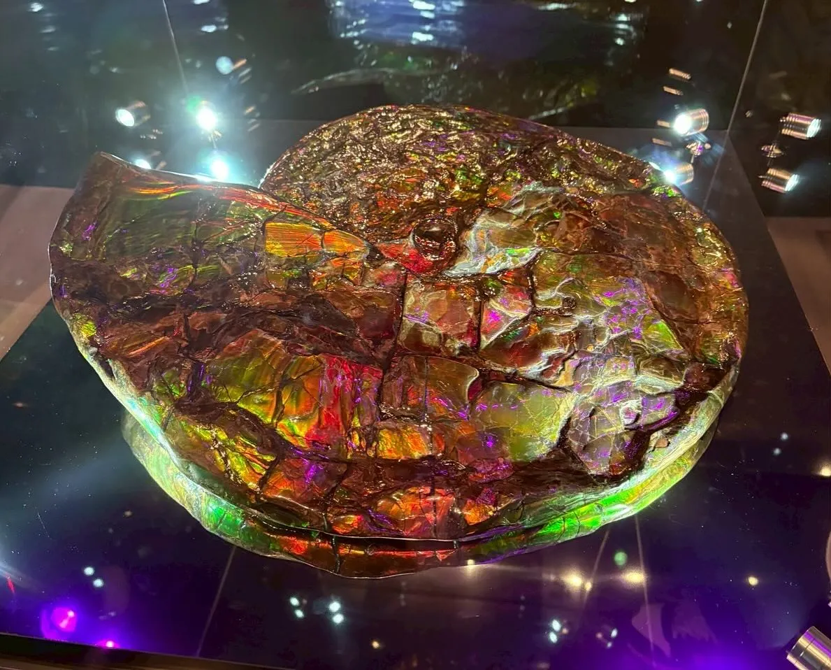 こんにちは、Watokunです🎶