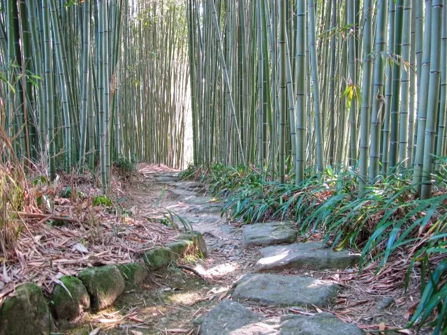 一泊二日で楽しむ団体旅行の魅力とは？