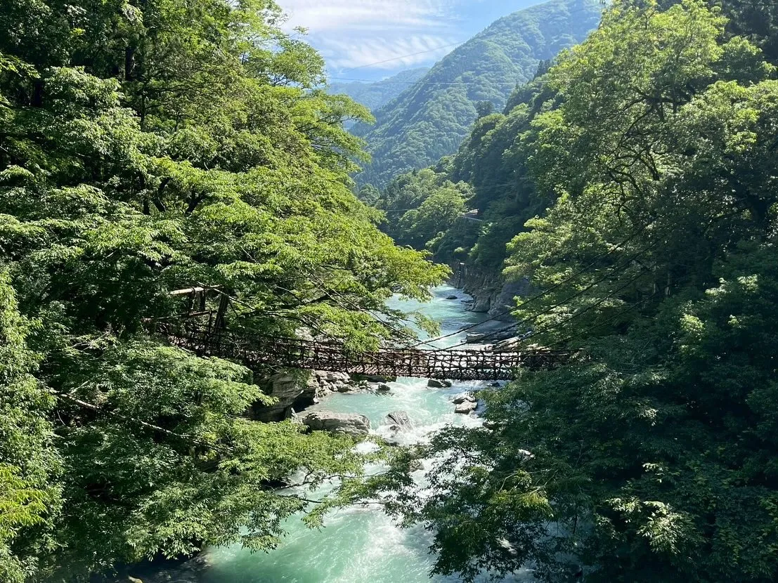こんにちは、watokunです☺️