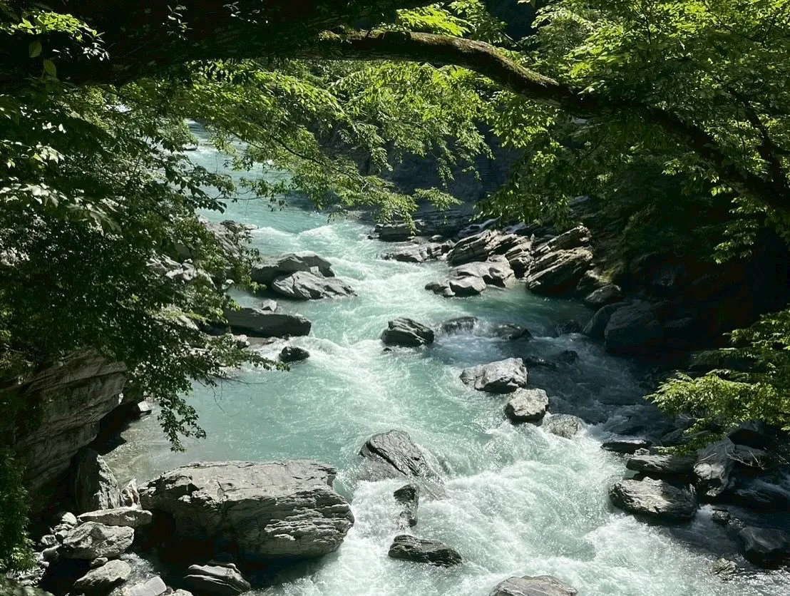 こんにちは、watokunです☺️