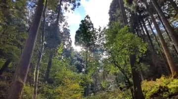 大学生合宿を兵庫県で充実させるスポーツや自然体験の計画ポイント