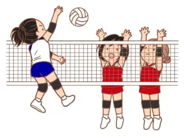 合宿バレーボールで大学生合宿を成功させる兵庫県の選び方と準備ポイント