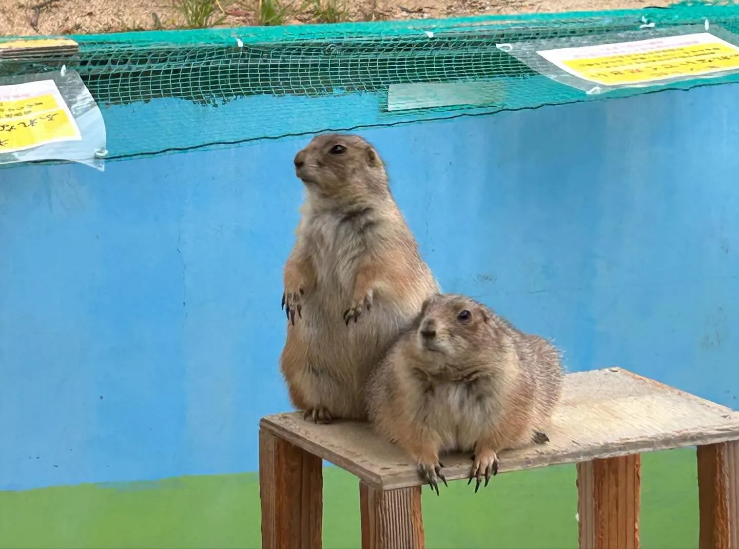 こんにちは!Watokunです☺️