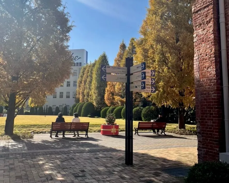 こんにちは！watokunです♪