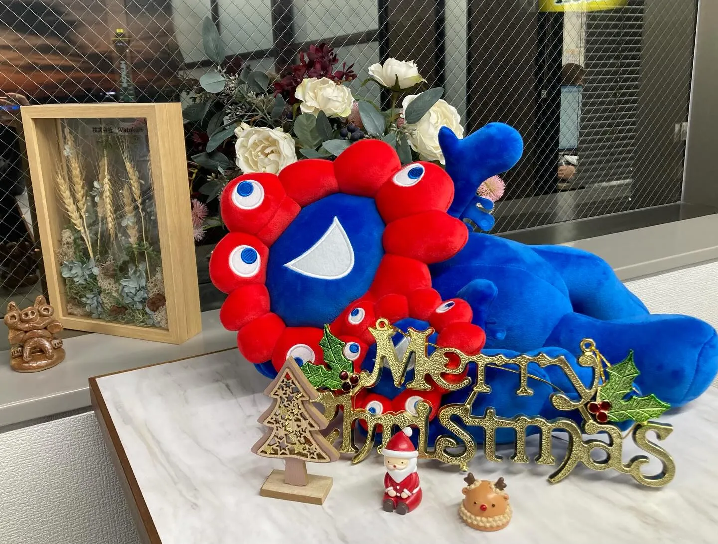 こんにちは！watokunです☺️