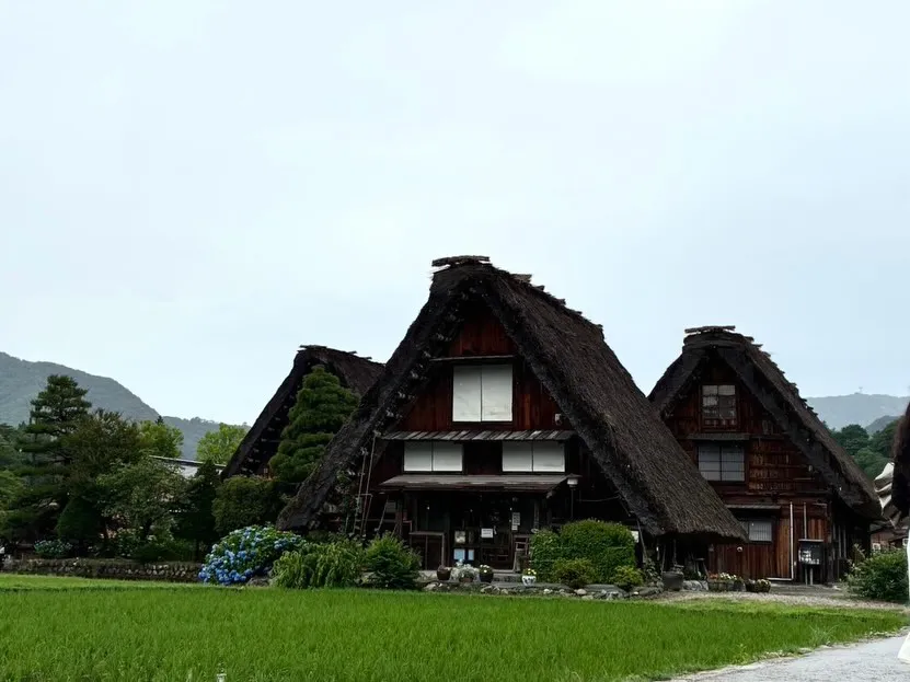🍃どこを歩いても癒される、白川郷へ🏡