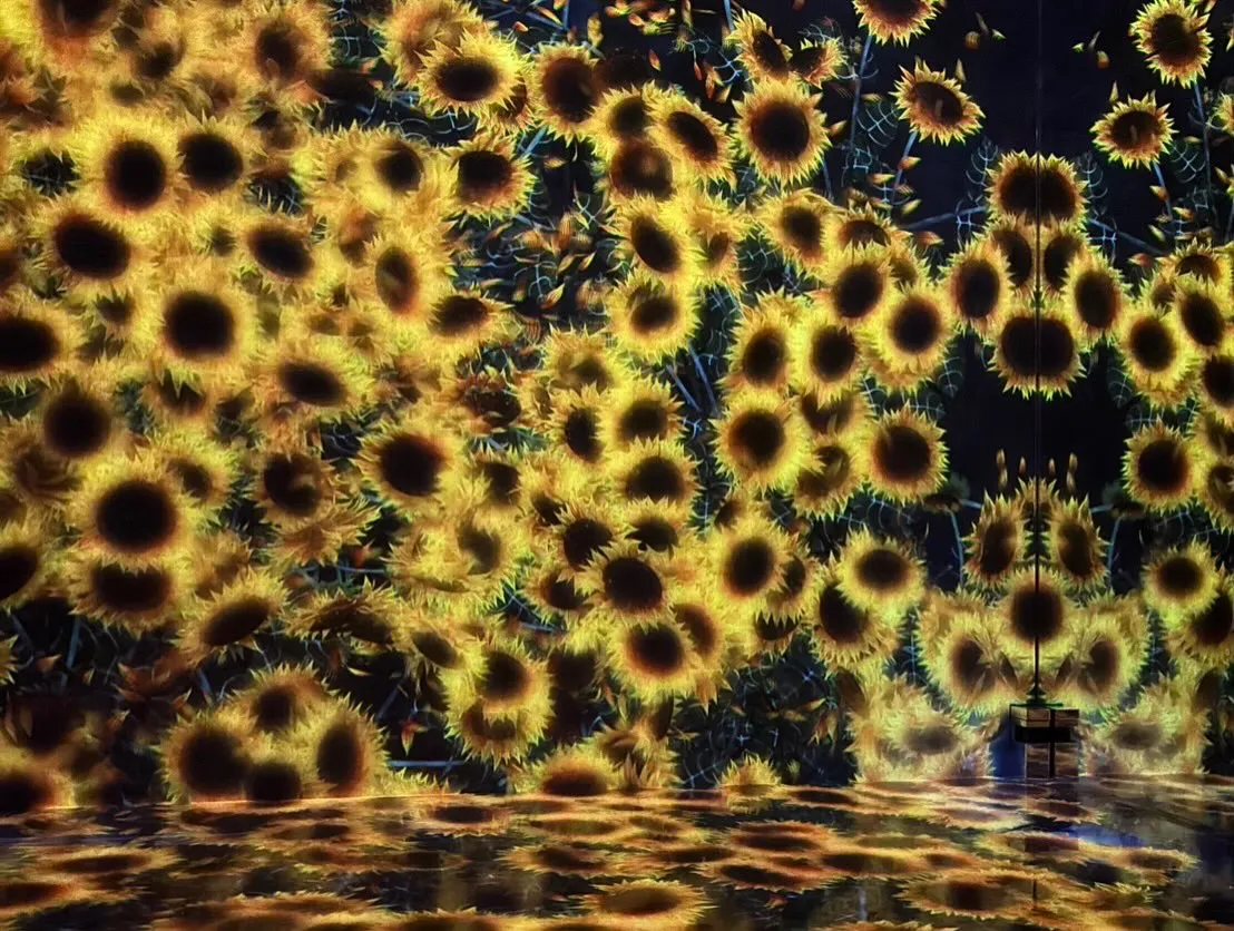 \幻想的すぎるアートスポット🌌✨/