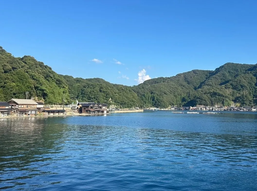 こんにちは!Watokunです🌱