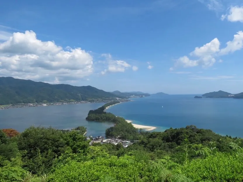こんにちは!Watokunです🌱