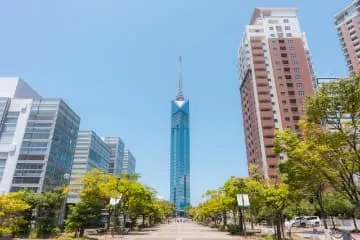 合宿場所選びで失敗しない福岡県の大学生合宿向け施設徹底ガイド